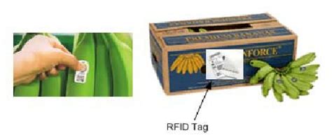 rfid carton tag|paladinid rfid.